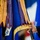 Robinson Assumes Showcase Wing Command Robinson Assumes Showcase Wing Command