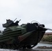 Hitting the surf | Marines with 1st Bn., 5th Marines conduct water operations