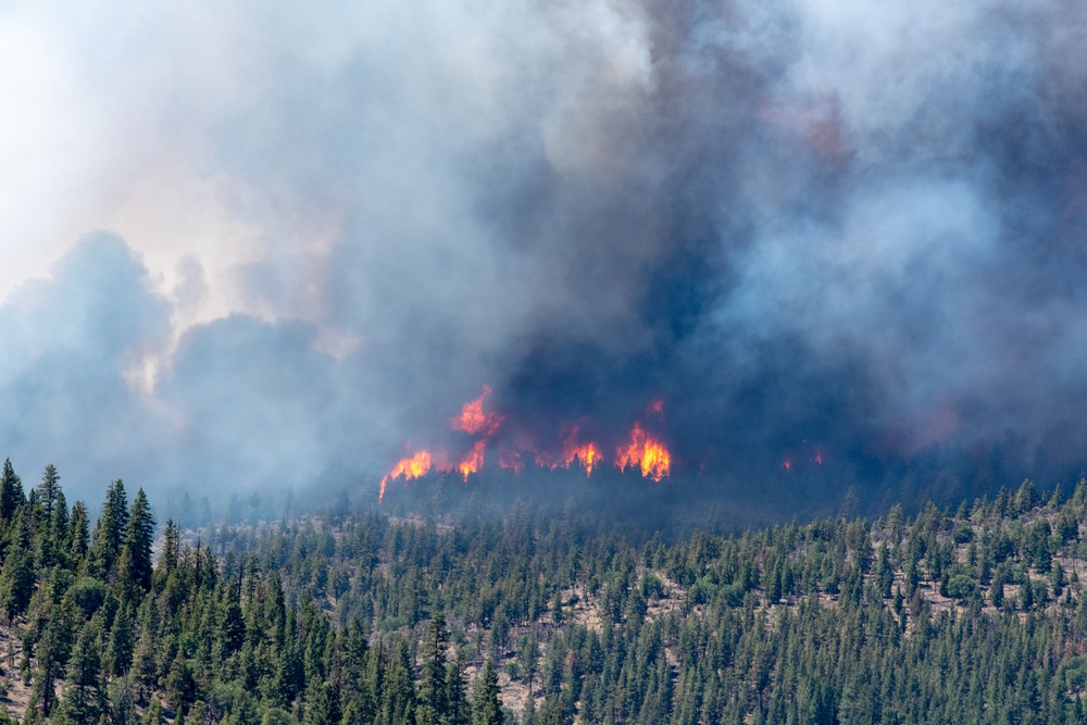 Beckwourth Complex Fire continues burning July 8, 2021 near Frenchman Lake in N. California