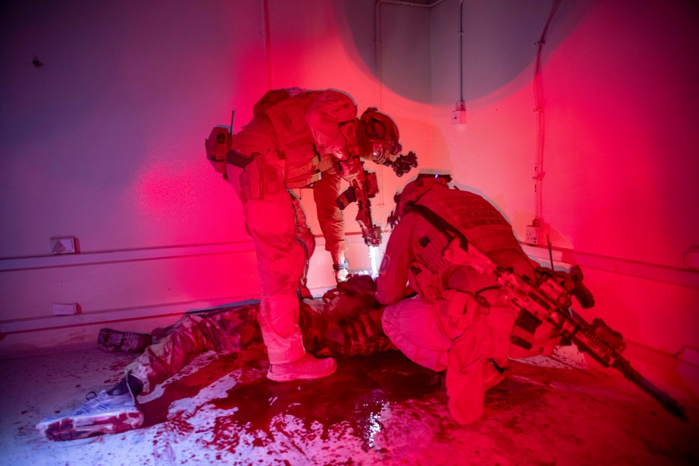 Norwegian Quick Response Forces Conducts Night-Operations Training Excercise