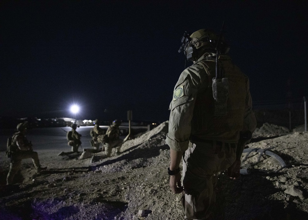 Norwegian Quick Response Forces Conducts Night-Operations Training Excercise