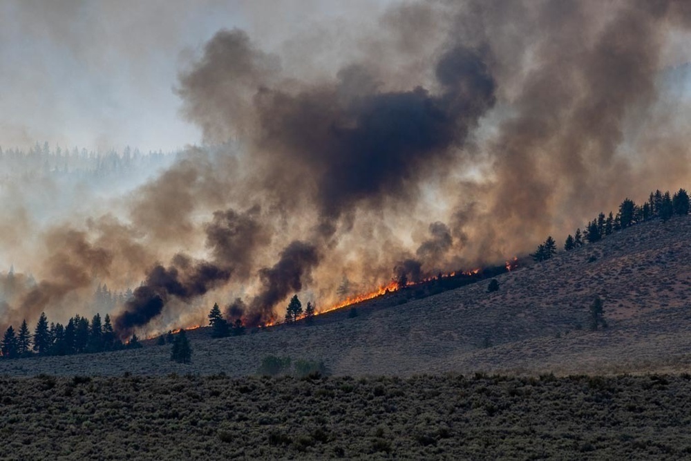 Beckwourth Complex Fire continues burning July 9, 2021 near Frenchman Lake in N. California