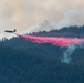 Air National Guard C-130 drops retardant on the Beckwourth Complex Fire July 9, 2021 near Frenchman Lake in N. California