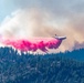 Air Tanker drops retardant on the Beckwourth Complex Fire July 9, 2021 near Frenchman Lake in N. California