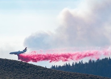 Air Tanker drops retardant on the Beckwourth Complex Fire July 9, 2021 near Frenchman Lake in N. California