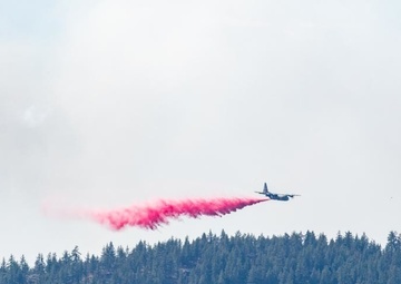 Air National Guard C-130 drops retardant on the Beckwourth Complex Fire July 9, 2021 near Frenchman Lake in N. California
