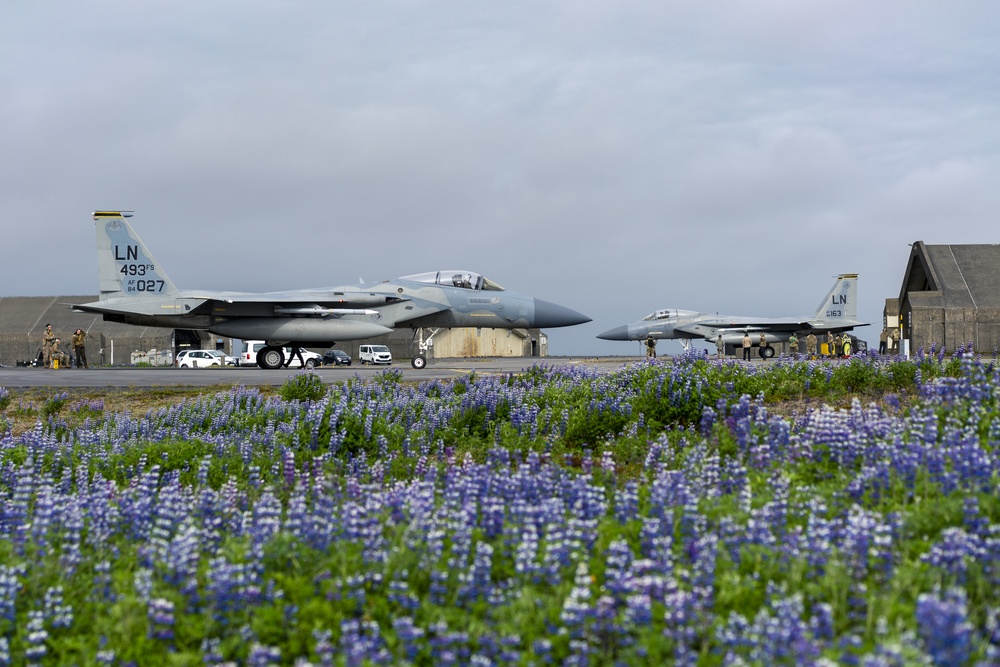 Iceland Air Policing 2021