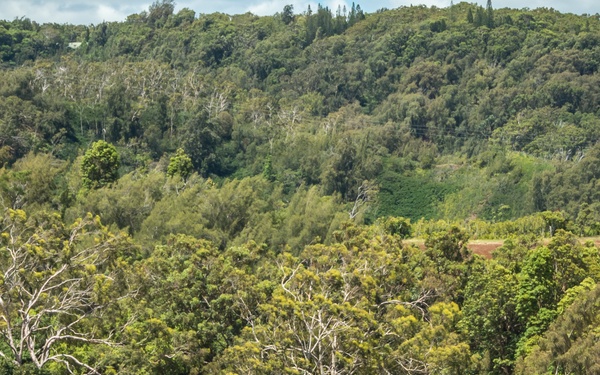 Citizen Airmen, Marines earn Girl Scout construction badge