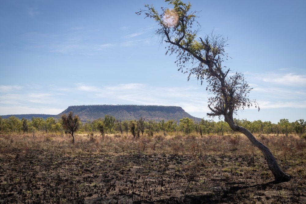 MRF-D conducts a site survey at Bradshaw Field Training Area