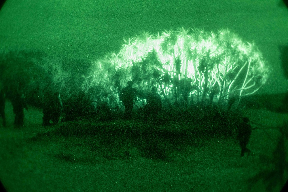 Boat Company Conducts Amphibious Night Raids