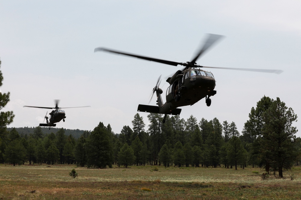 Bravo Company with 1-158th Infantry Battalion “Bushmasters” Conduct Air Movement