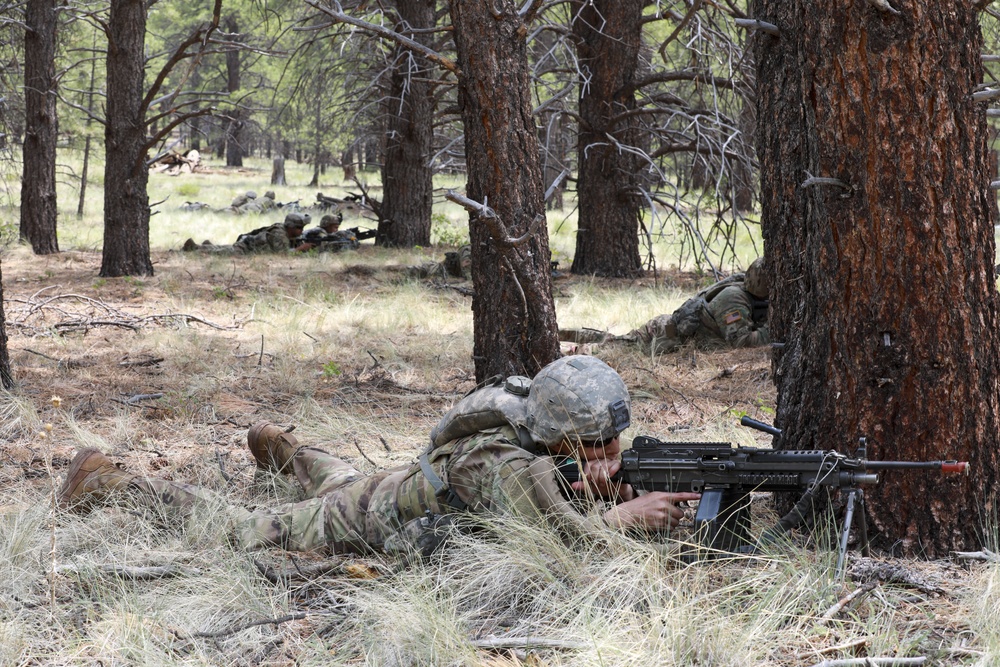 Bravo Company with 1-158th Infantry Battalion “Bushmasters” Conduct Air Movement