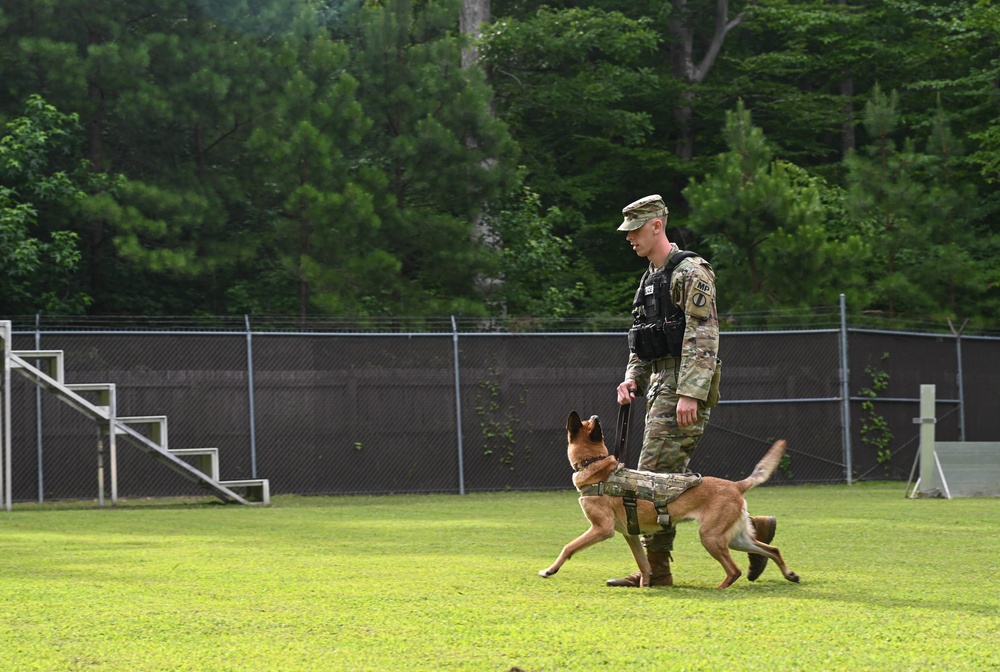 Working like a dog: MWD Maya serves our nation