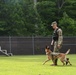 Working like a dog: MWD Maya serves our nation