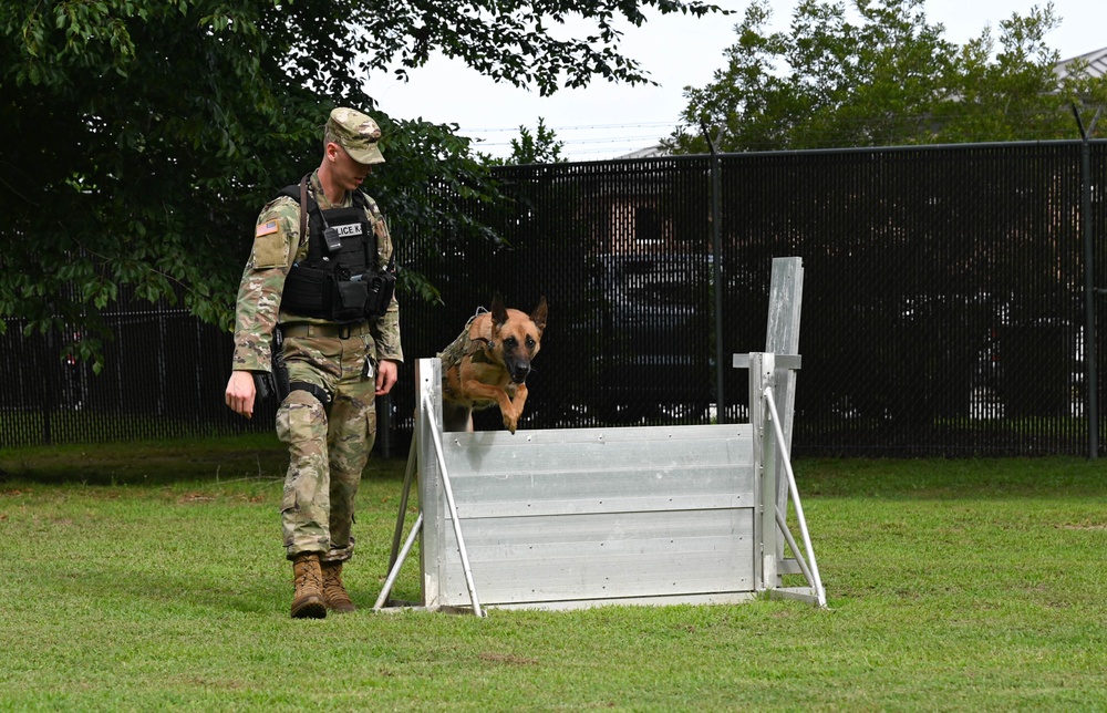 Working like a dog: MWD Maya serves our nation