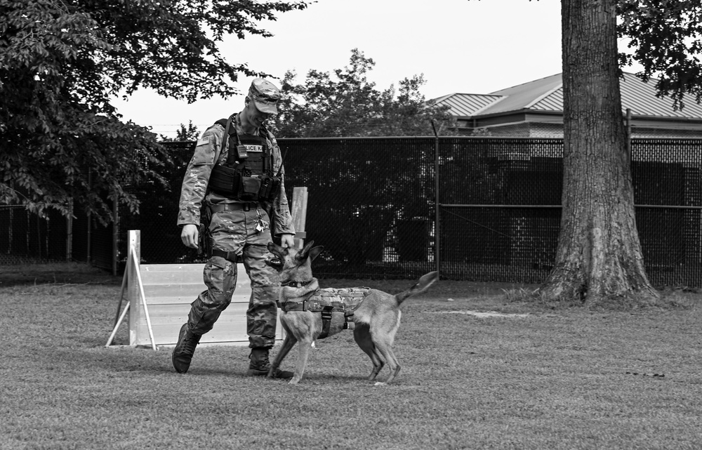 Working like a dog: MWD Maya serves our nation