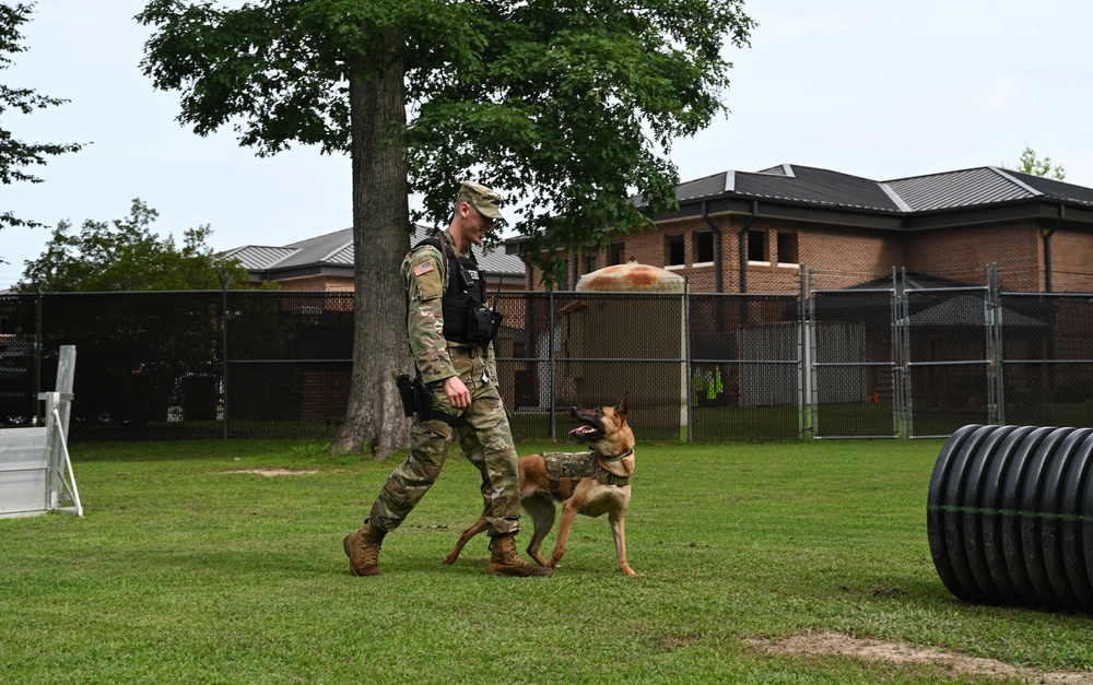 Working like a dog: MWD Maya serves our nation