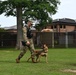 Working like a dog: MWD Maya serves our nation