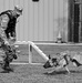 Working like a dog: MWD Maya serves our nation