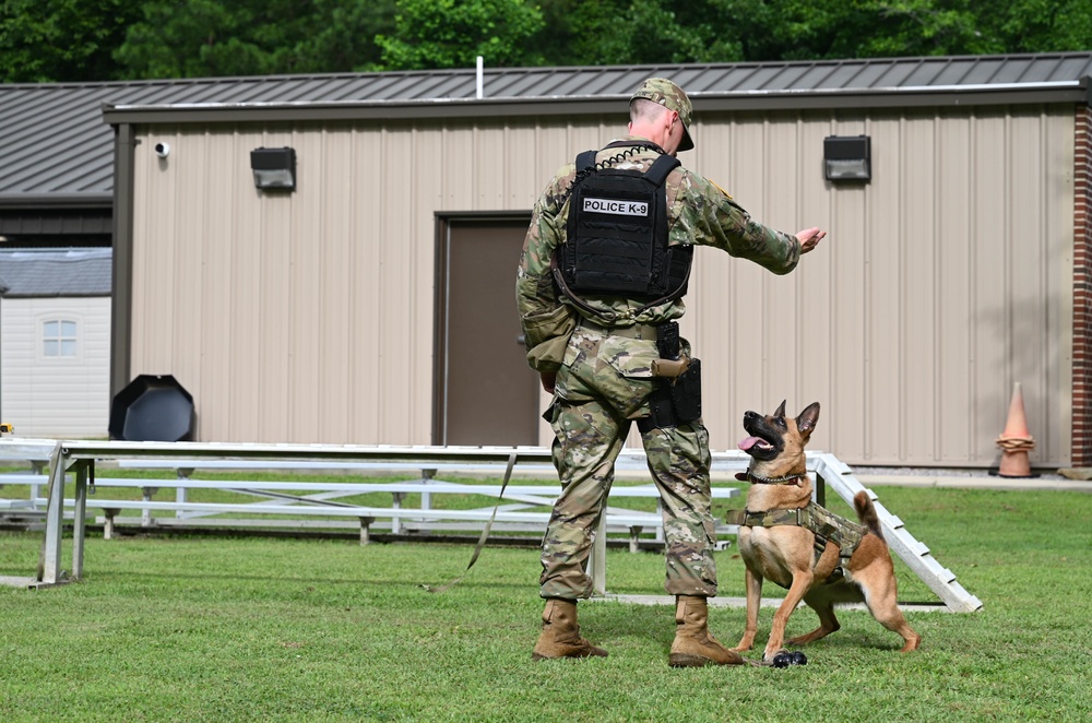 Working like a dog: MWD Maya serves our nation