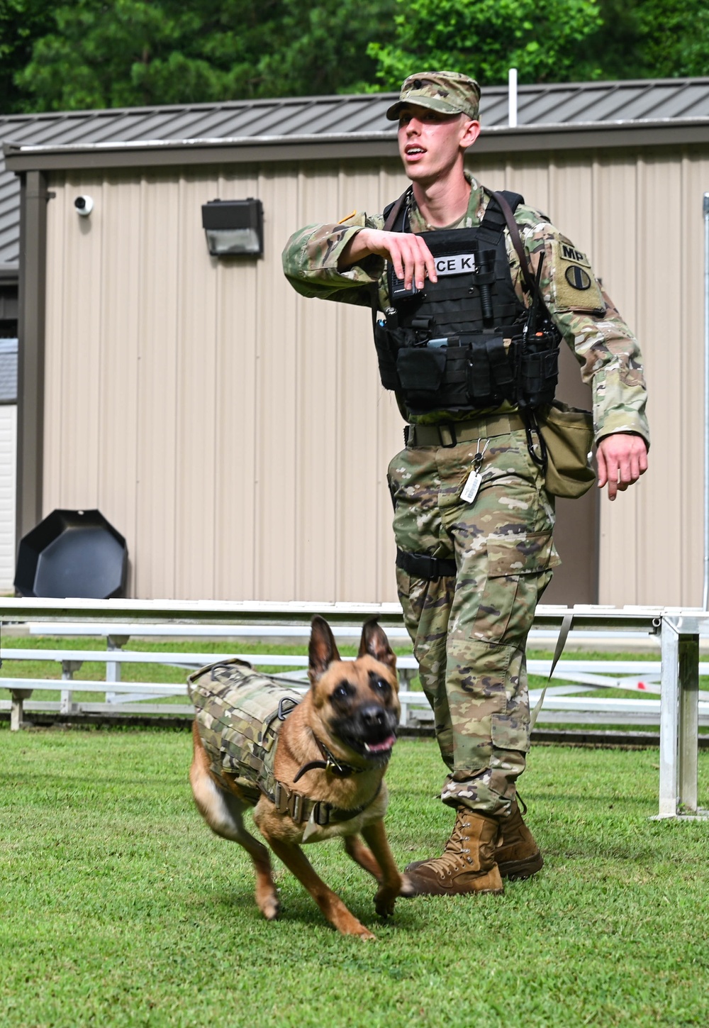 Working like a dog: MWD Maya serves our nation