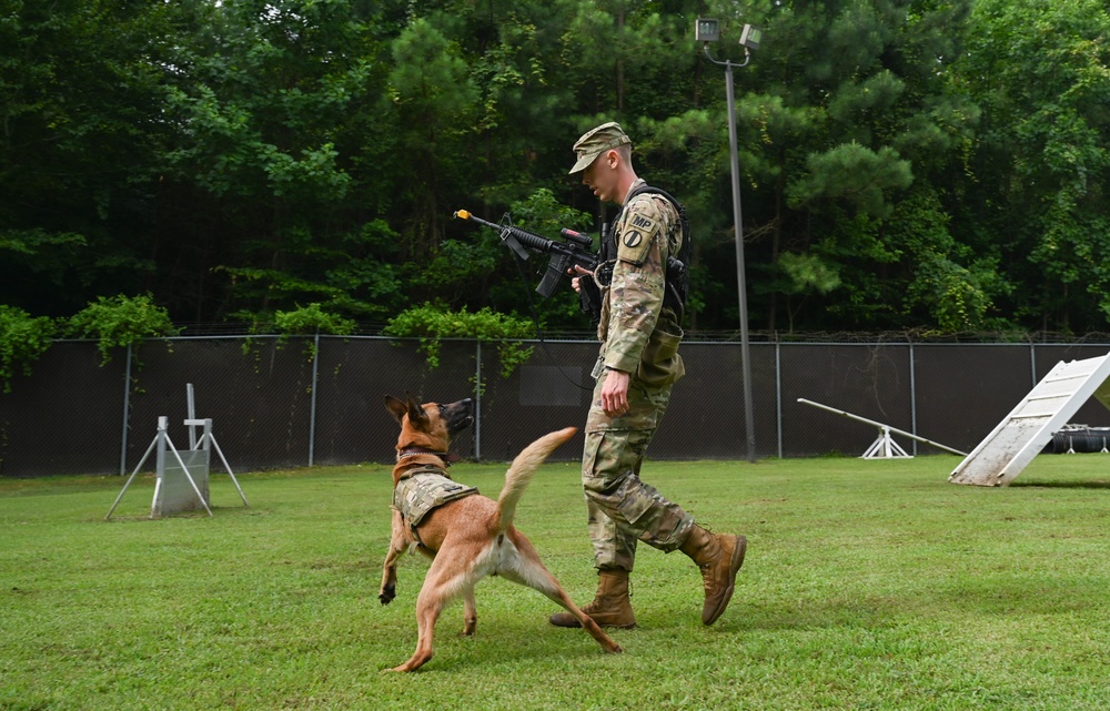 Working like a dog: MWD Maya serves our nation