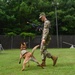 Working like a dog: MWD Maya serves our nation