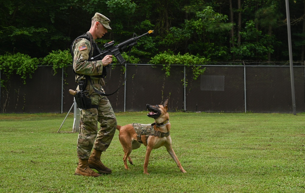 Working like a dog: MWD Maya serves our nation