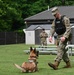 Working like a dog: MWD Maya serves our nation