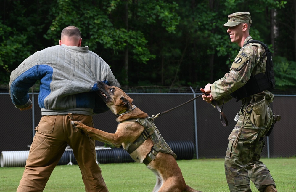 Working like a dog: MWD Maya serves our nation