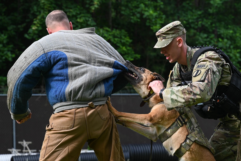 Working like a dog: MWD Maya serves our nation