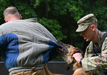 Working like a dog: MWD Maya serves our nation