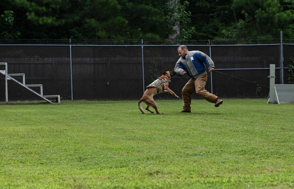 Working like a dog: MWD Maya serves our nation