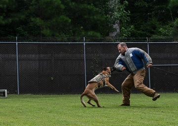Working like a dog: MWD Maya serves our nation
