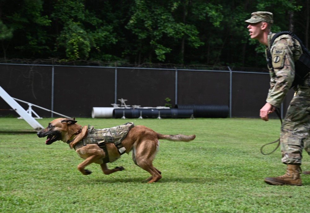 Working like a dog: MWD Maya serves our nation