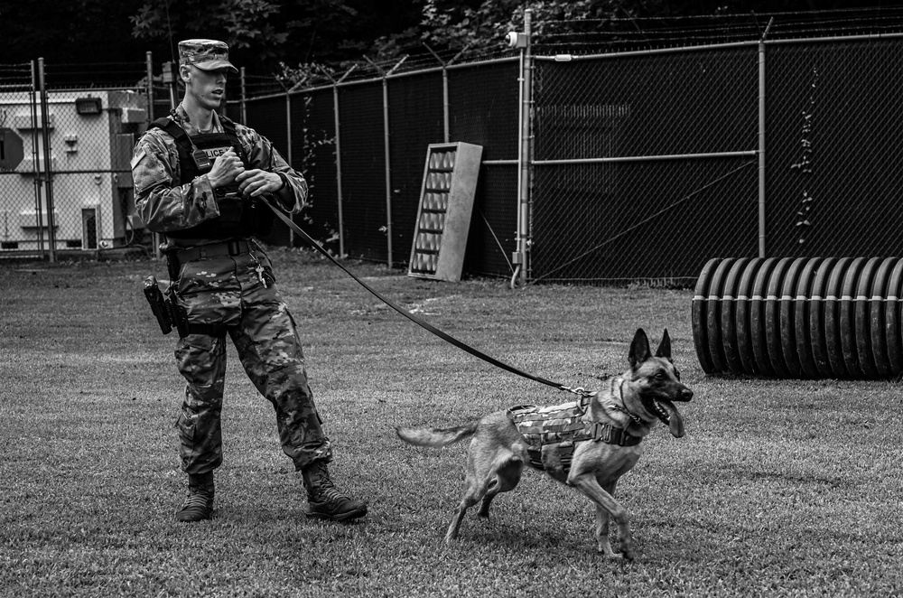 Working like a dog: MWD Maya serves our nation