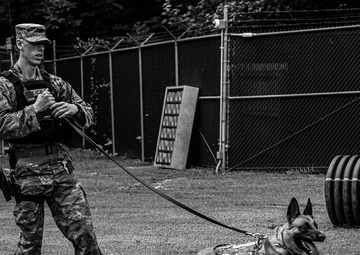 Working like a dog: MWD Maya serves our nation