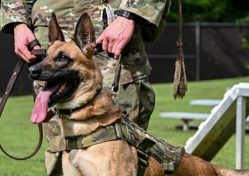 Working like a dog: MWD Maya serves our nation
