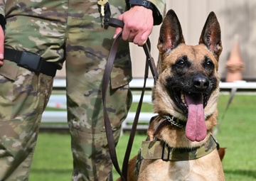 Working like a dog: MWD Maya serves our nation