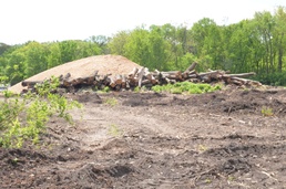 Arsenal cemetery to expand hallowed grounds, space for interments