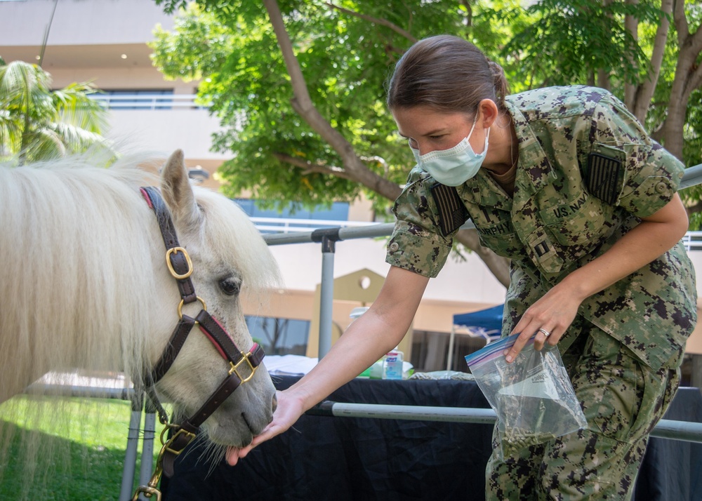 NMRTC San Diego Hosts Mini Horses for Therapy