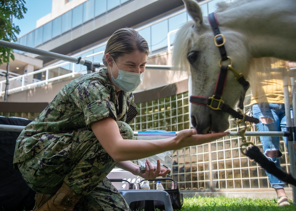 NMRTC San Diego Hosts Mini Horses for Therapy