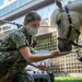 NMRTC San Diego Hosts Mini Horses for Therapy