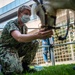 NMRTC San Diego Hosts Mini Horses for Therapy