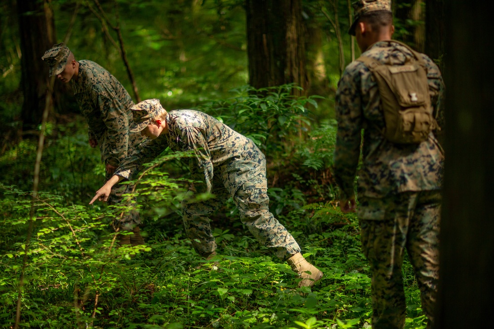 Combat Engineers conduct training during Eagle Wrath 21