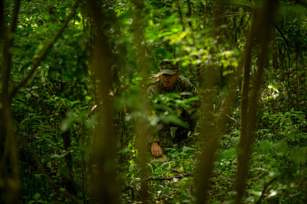 Combat Engineers conduct training during Eagle Wrath 21