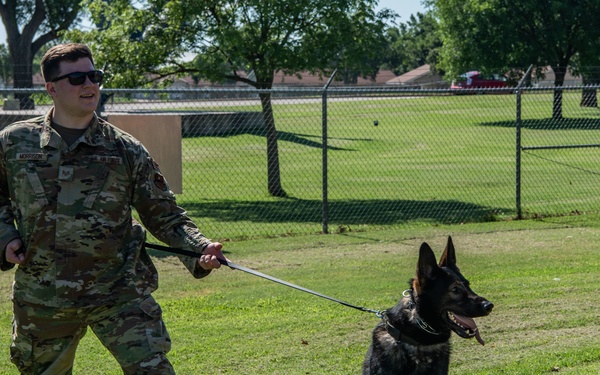 Military Working Dog Bite Training