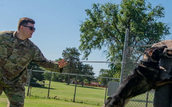 Military Working Dog Bite Training