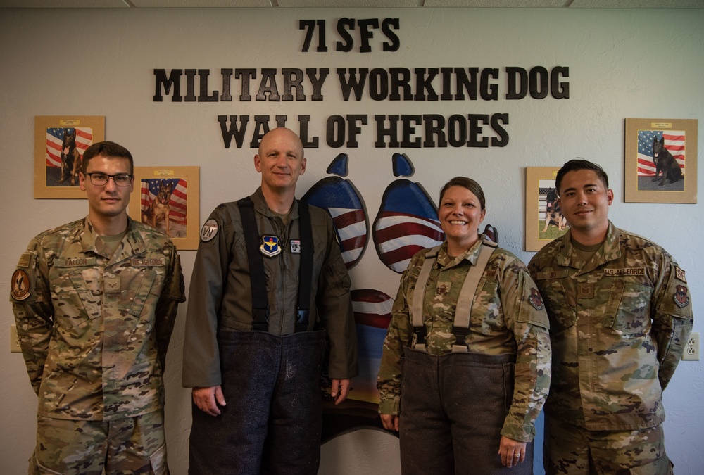 Military Working Dog Bite Training Military Working Dog Bite Training