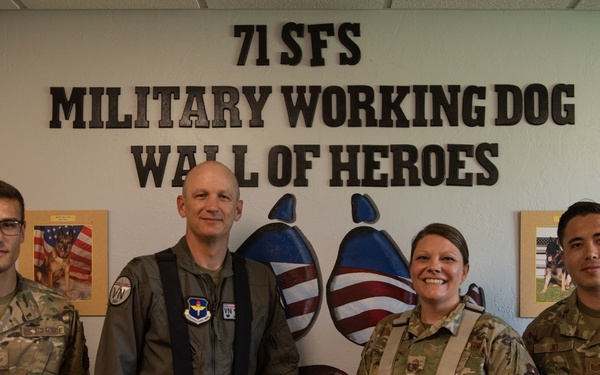 Military Working Dog Bite Training